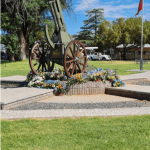 Skinny Lizzy Kimberely